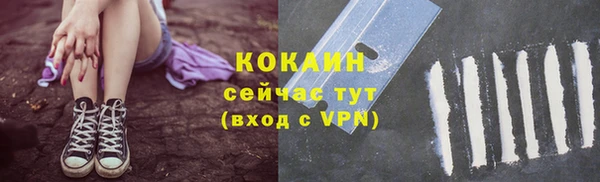 дживик Алзамай