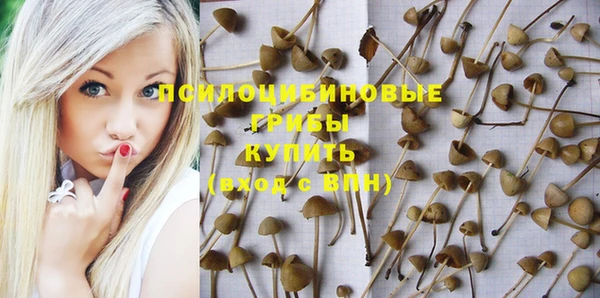 индика Абдулино