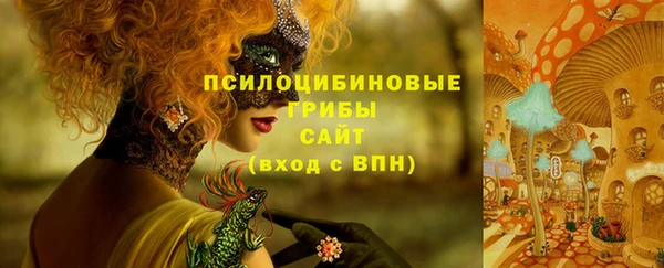 ГАЛЛЮЦИНОГЕННЫЕ ГРИБЫ Абаза