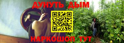 гидра Новокубанск