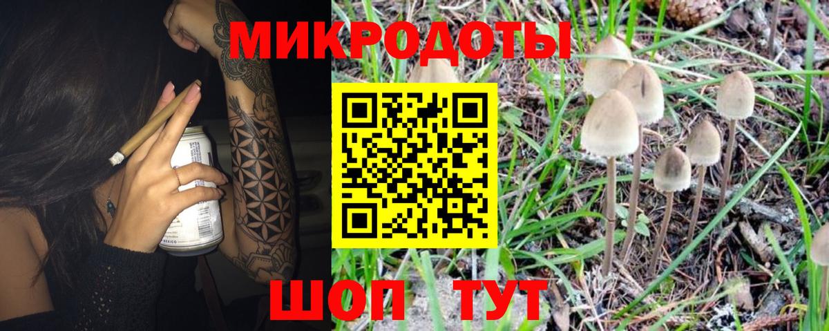 Псилоцибиновые грибы GOLDEN TEACHER  Вход с VPN  Янаул 